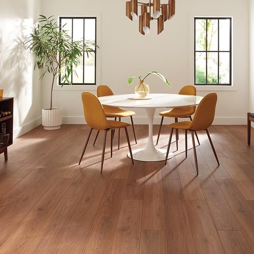 Dining Room Luxury Vinyl Plank LVP -  CarpetsPlus of St. Louis in St. Louis, MO